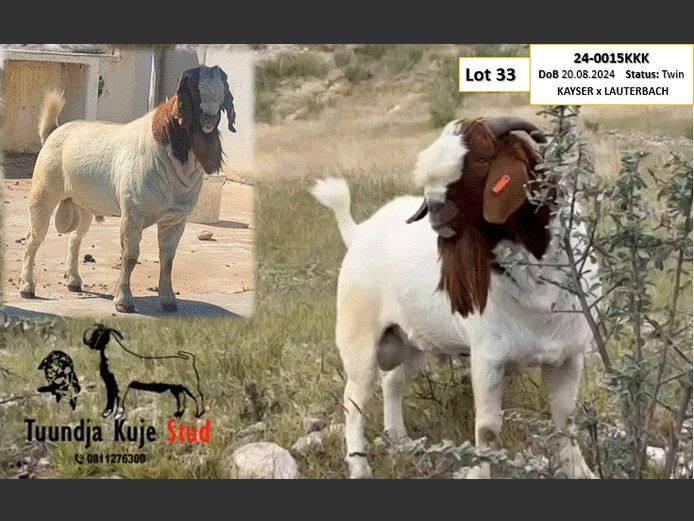 24-0015KKK | Tundja Kuje