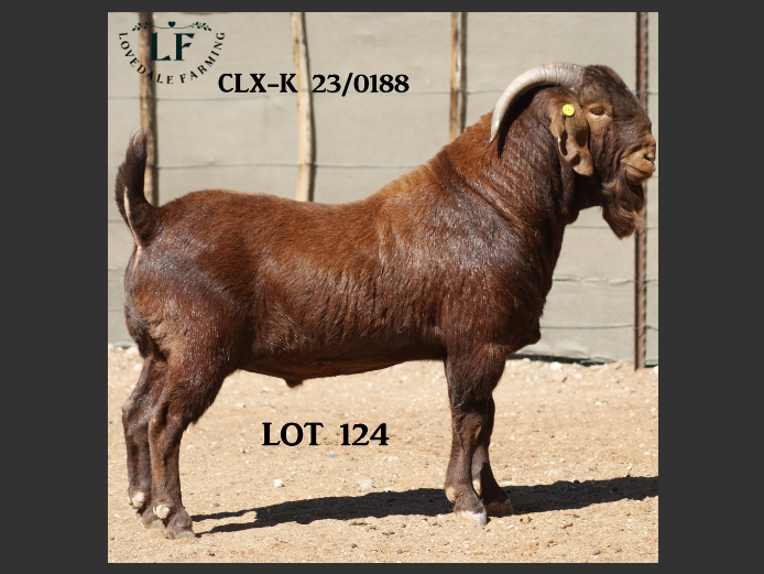 LOVEDALE FARMING | 23-0188CLX-K
