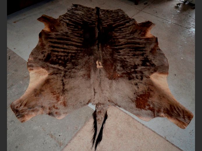 BLACK WILDEBEEST HIDE, 156 x 135cm