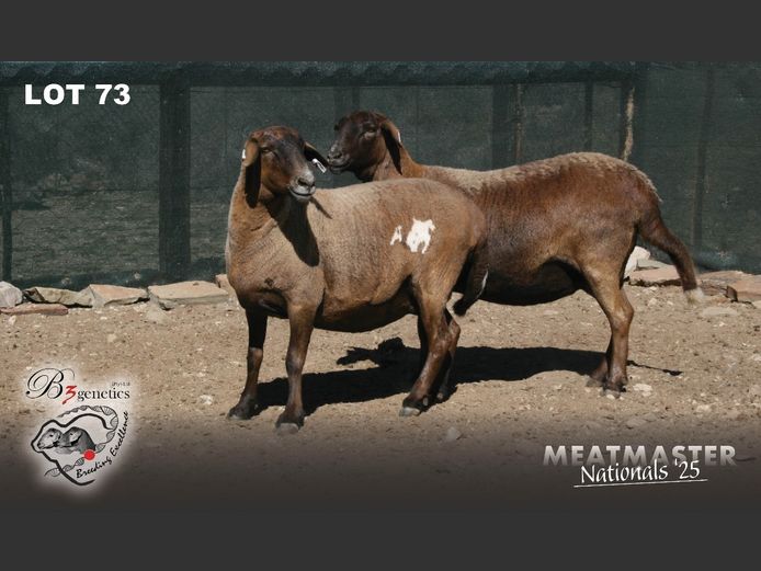 BBB 22 0189 | Charles Freeme - B3genetics Pty Ltd