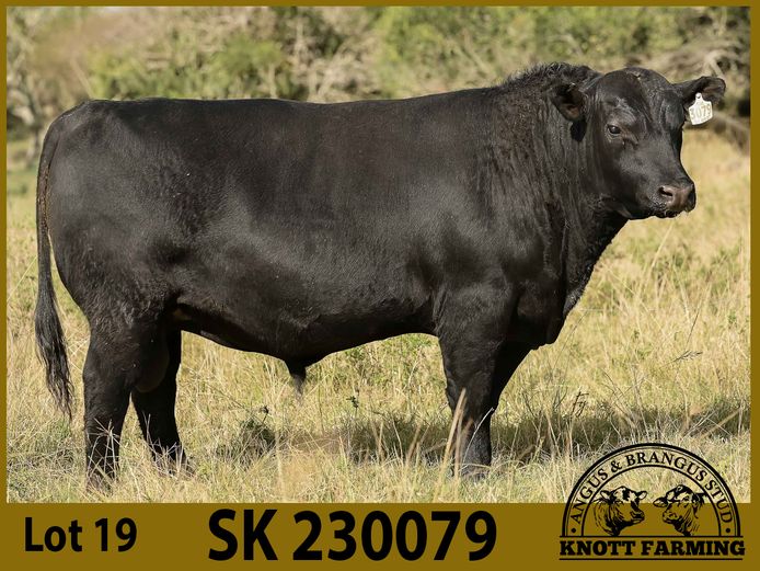 SK 230079 | KNOTT FARMING (PTY) LTD