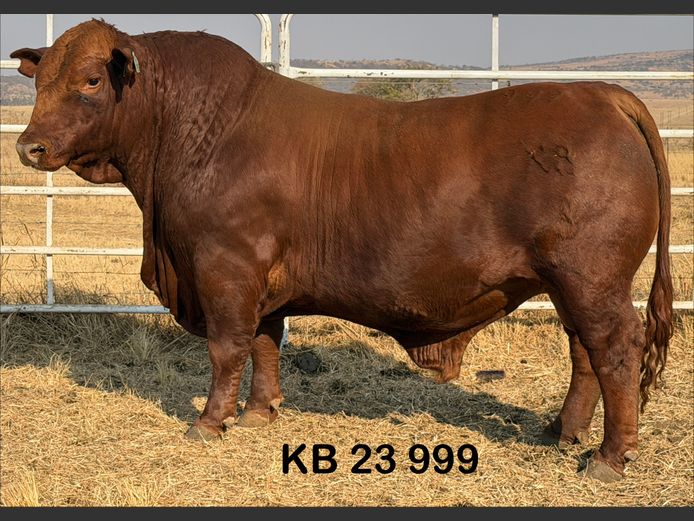 KB23999