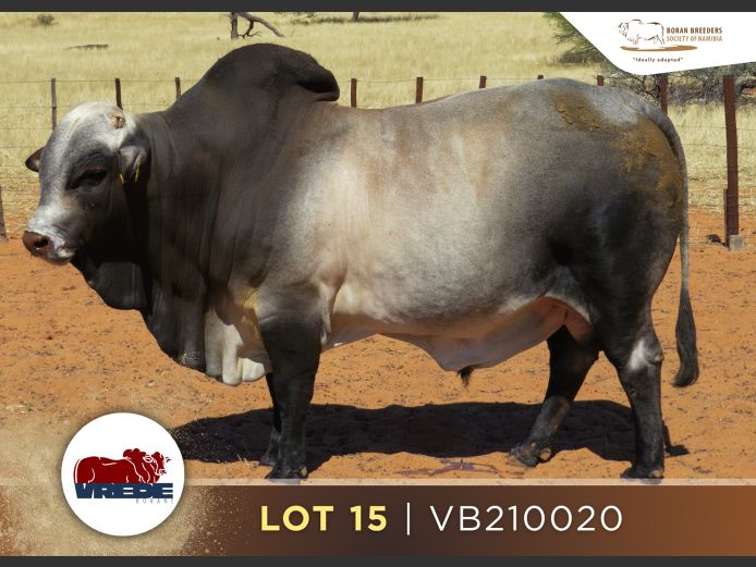 21-0020VB | VREDE BORANE