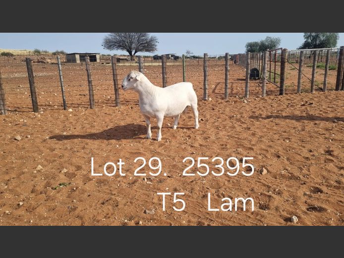 916250395W | R.J. CAHI & SON CC