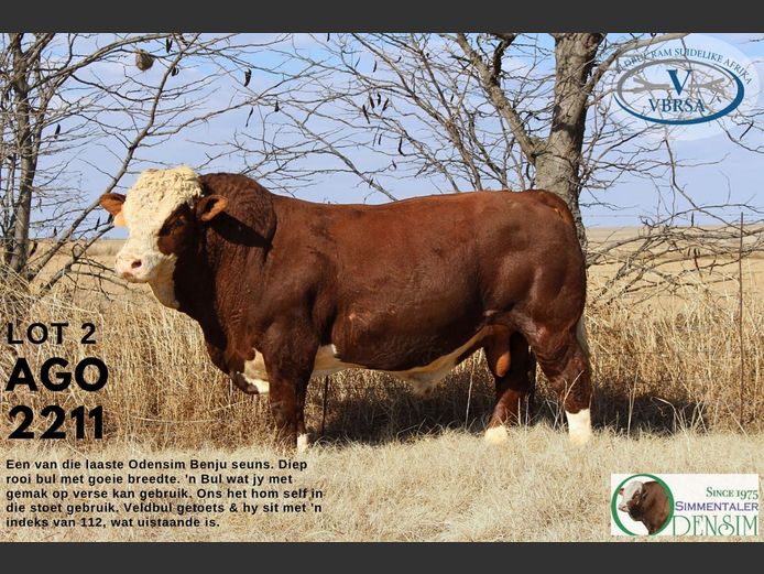 AGO2211 | AG ODENDAAL