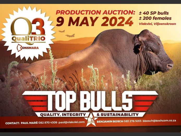 QUALITRIO BONSMARAS PRODUCTION AUCTION