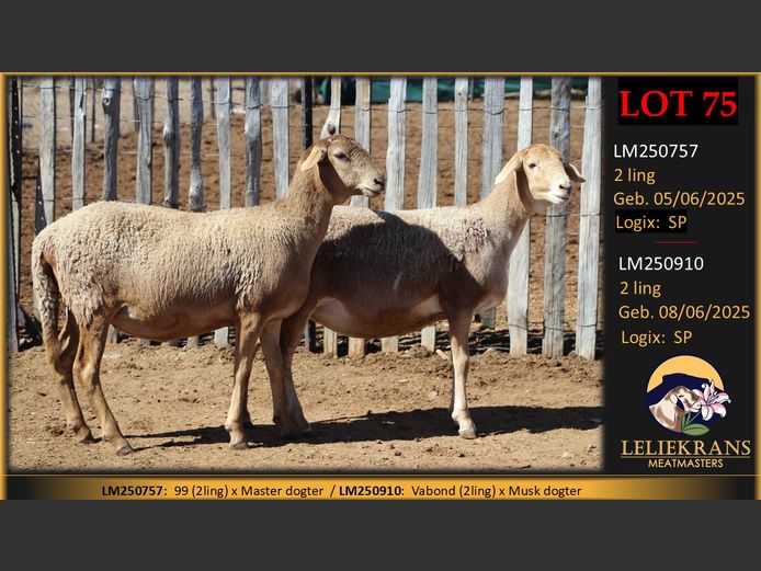 LM250757 | LELIEKRANS MEATMASTERS