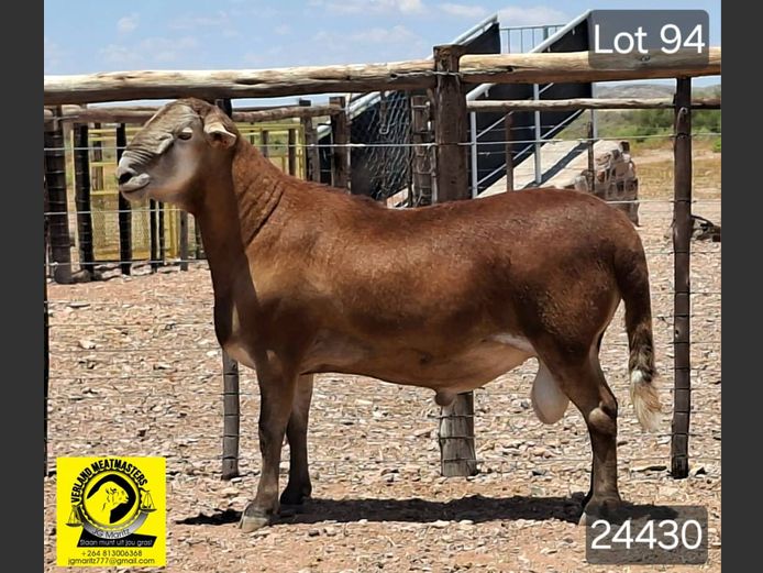 24430 | VERLAND MEATMASTERS