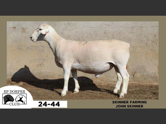 24-44  |  JOHN SKINNER - SKINNER FARMING