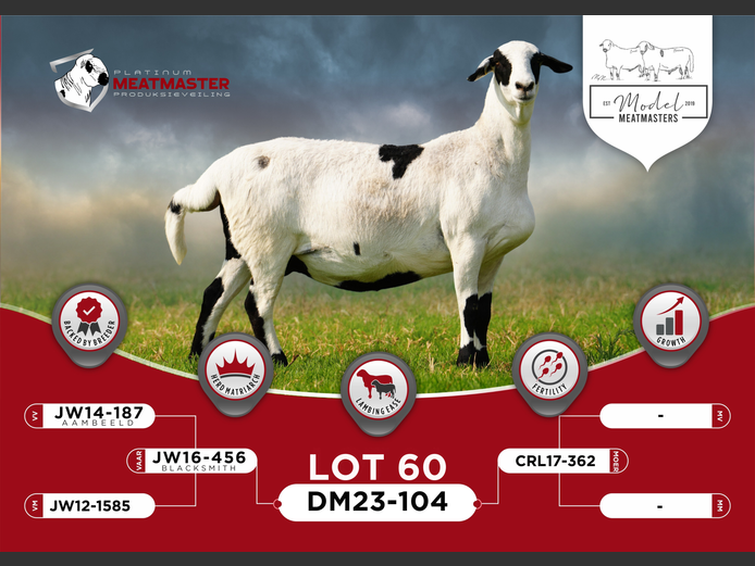 DM 23-0104 | Mario Marais - Model Meatmasters, Britz