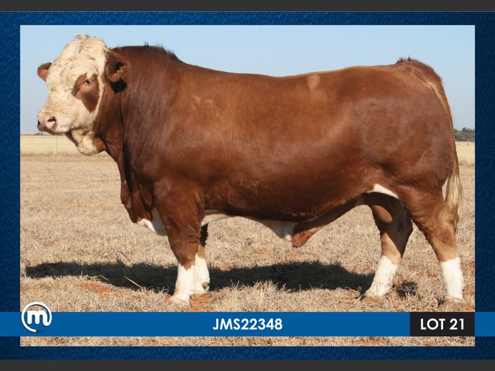JMS22348