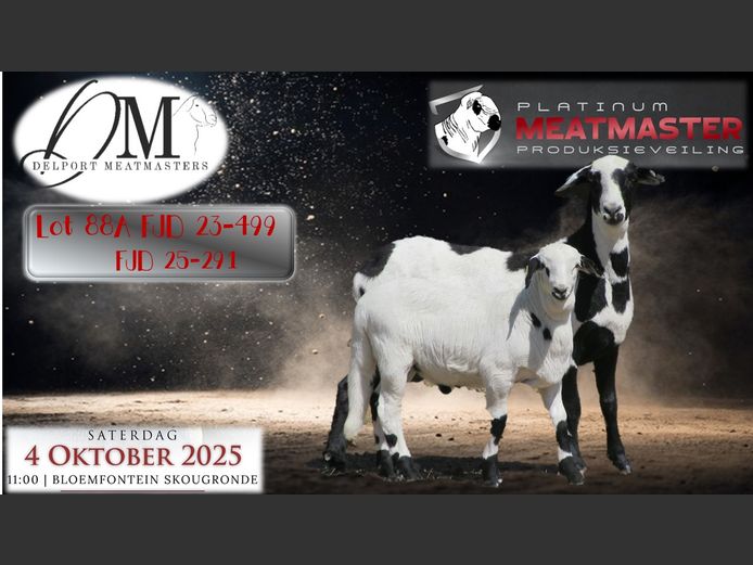 FJD 23-499 | Piet & Cois Delport - Delport Boerdery, Wesselsbron