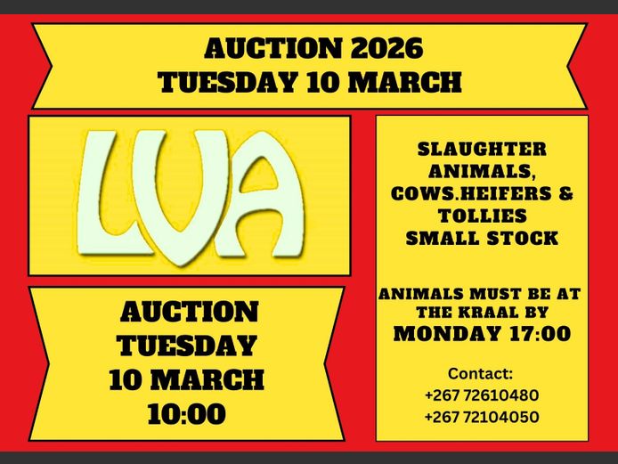 LVA WEEKLY SCALE AUCTION