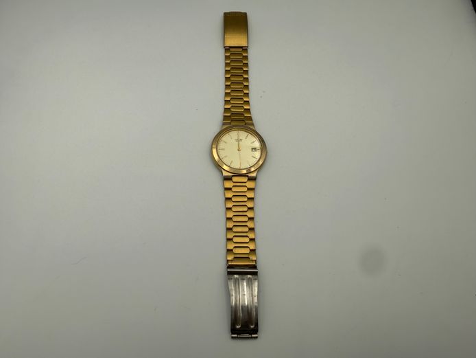 Gold Citizen Watch