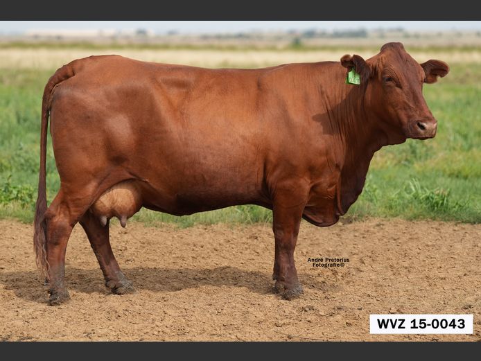 WVZ150043