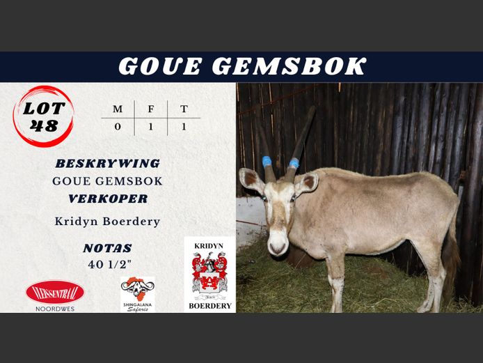 GOUE GEMSBOK