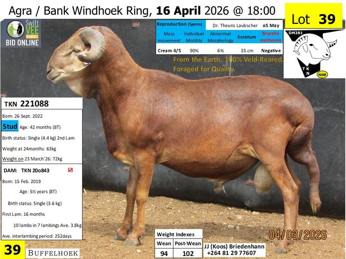 221088TKN | KOOS BRIEDENHANN