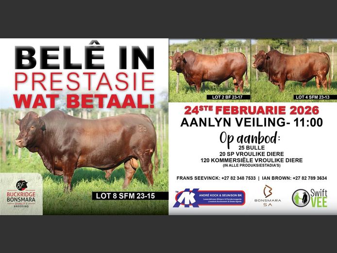 BUCKRIDGE BONSMARA AANLYN VEILING