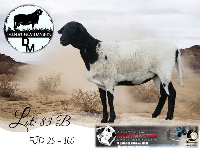 FJD 25-169 | Delport Boerdery