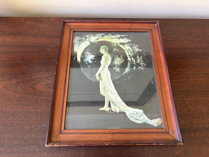 Night-Blooming Cereus Art Work 