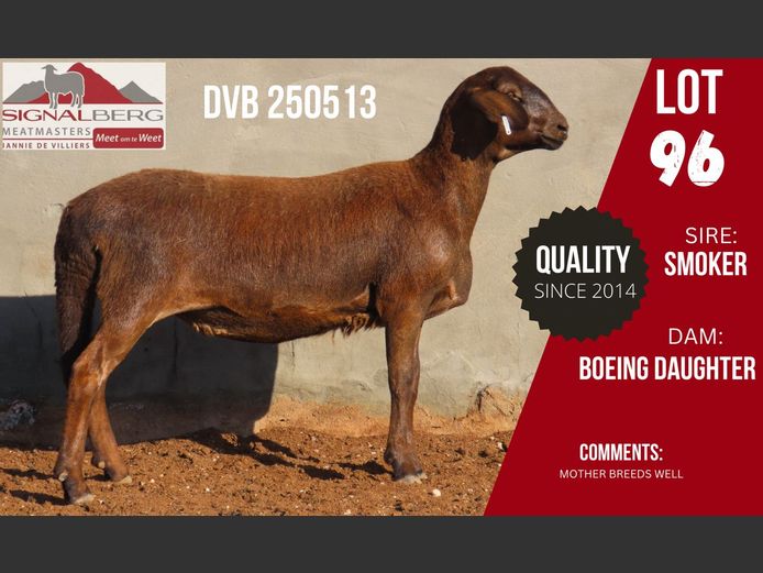 DVB 250513 | SIGNALBERG MEATMASTERS