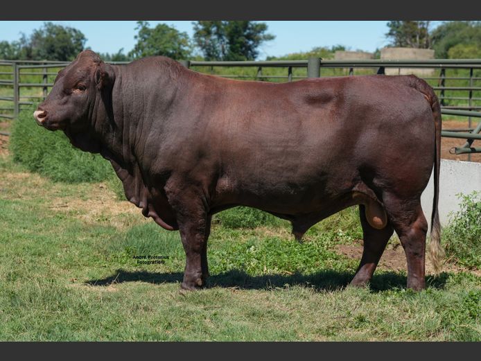 WVZ230058 | THUSO GRAAN EDMS BPK