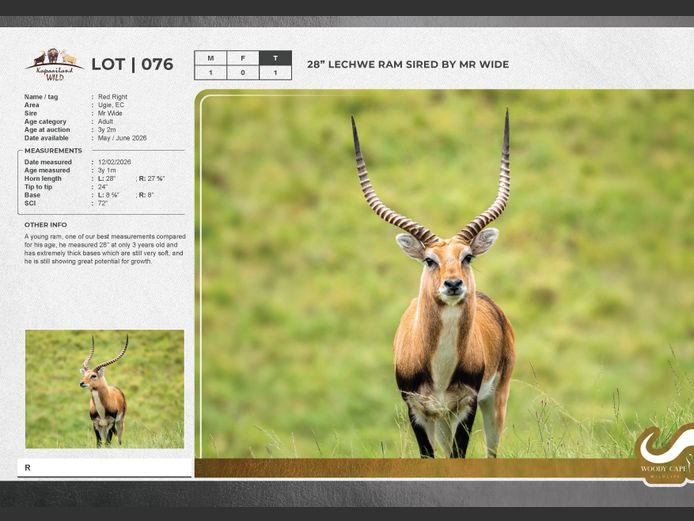 Lechwe | Masizakhe Farming