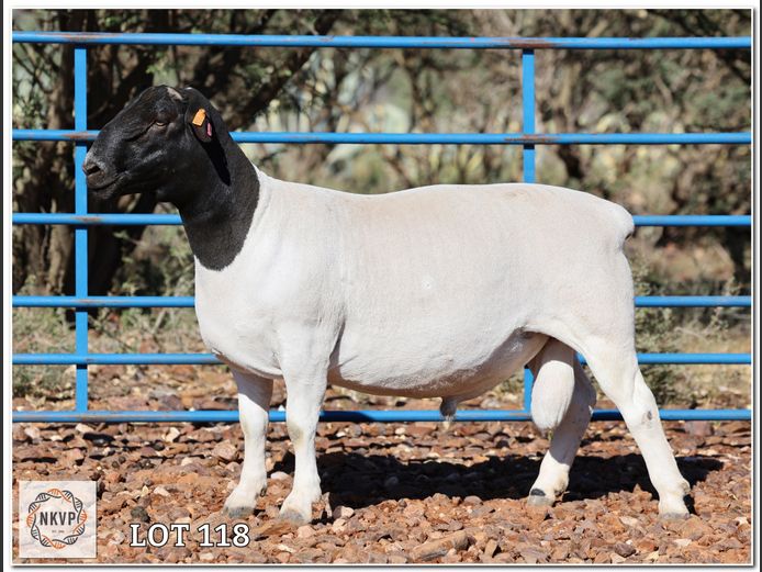 1643 24 0301 | C.C. VAN DEVENTER