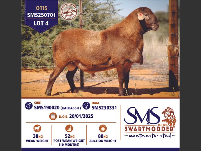 SMS250701 | SWARTMODDER MEATMASTER STUD