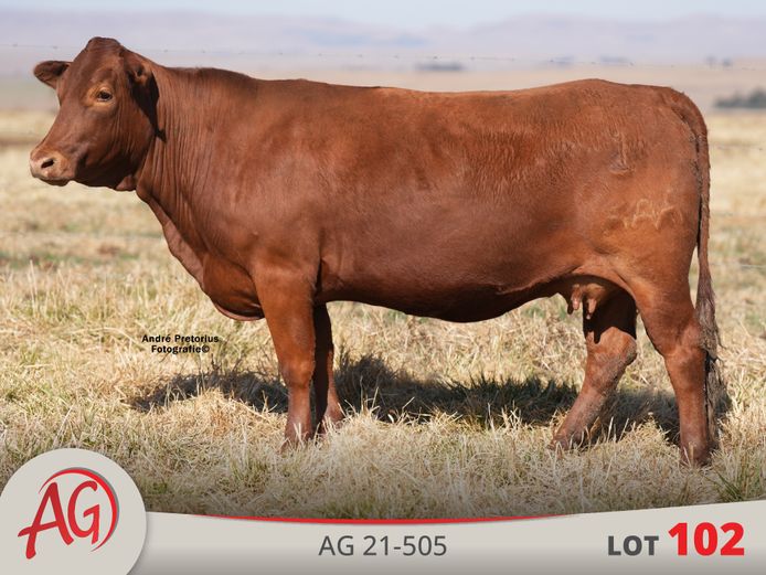 AG210505 | ARTHUR DE VILLIERS & SEUN
