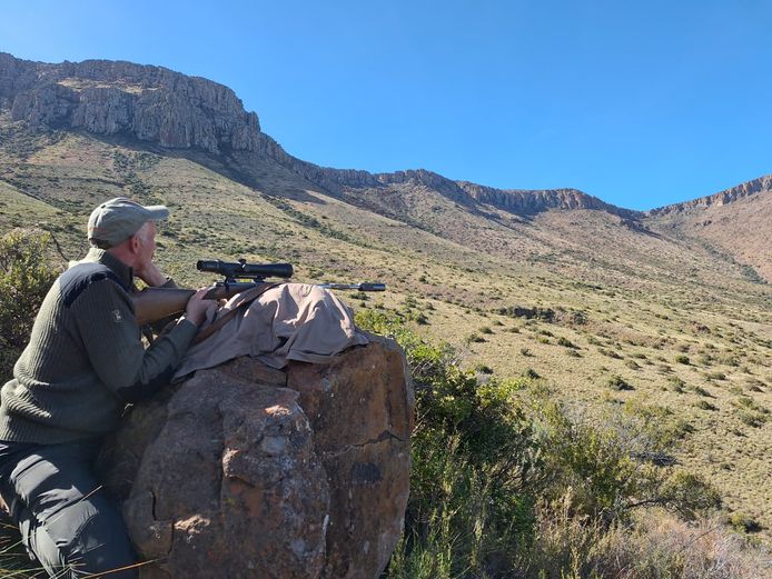 Biltong Hunt for 2 blesbuck and 2 Warthog. 2026 Hunting Season | Gem Safaris