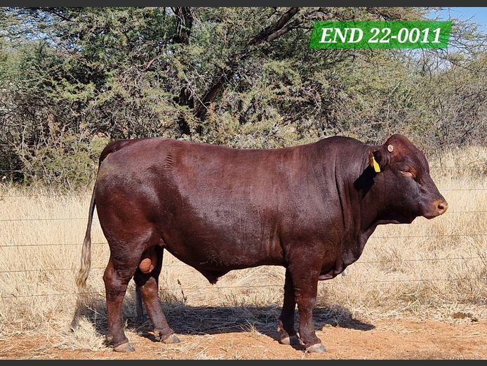 ENDELELA FARMING CC | END 220011