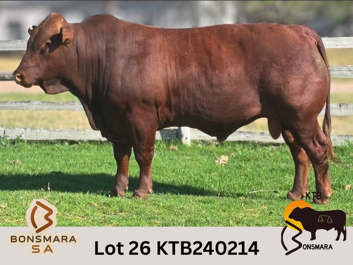 KTB240214 | BOTTERFONTEIN ESTATES CC