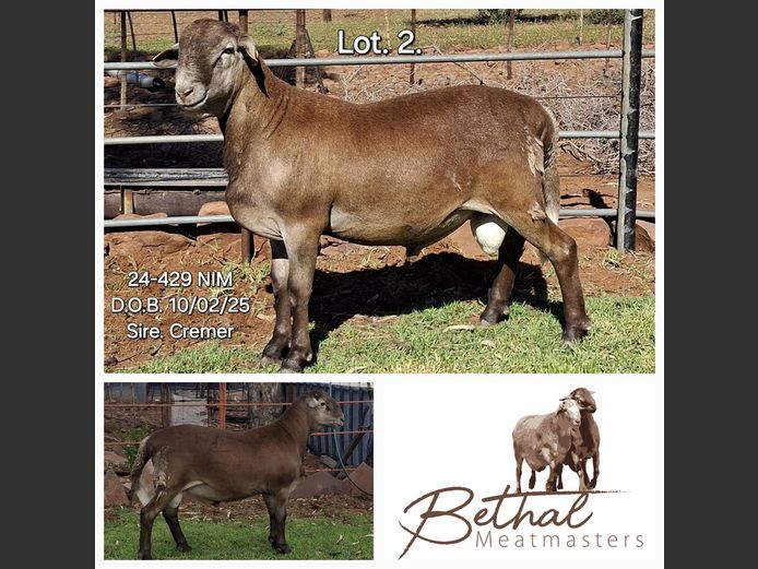 24-429 NIM | BETHAL MEATMASTERS