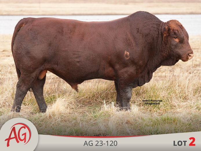 AG230120 HH(c) | ARTHUR DE VILLIERS & SEUN