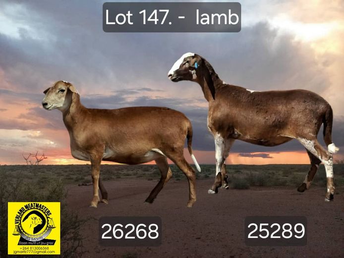 25268 | VERLAND MEATMASTERS