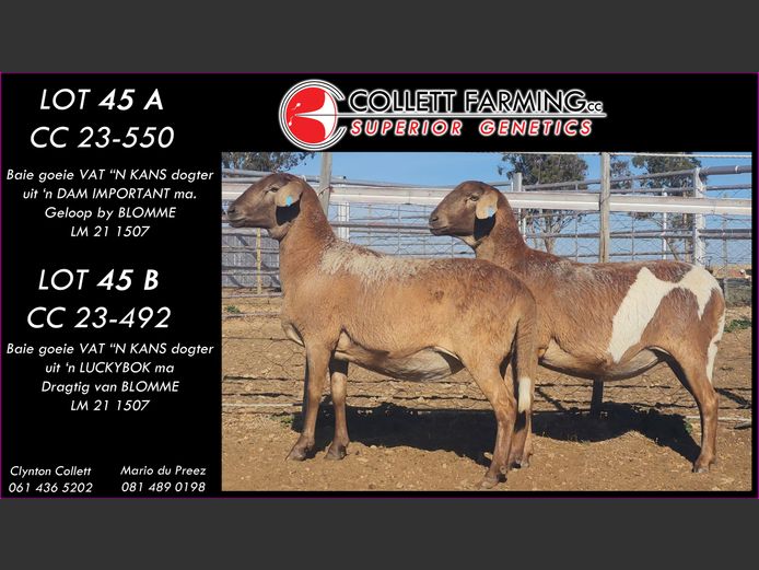 CC 230550 | COLLETT FARMING CC
