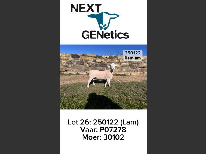 250122 | NEXT GENETICS