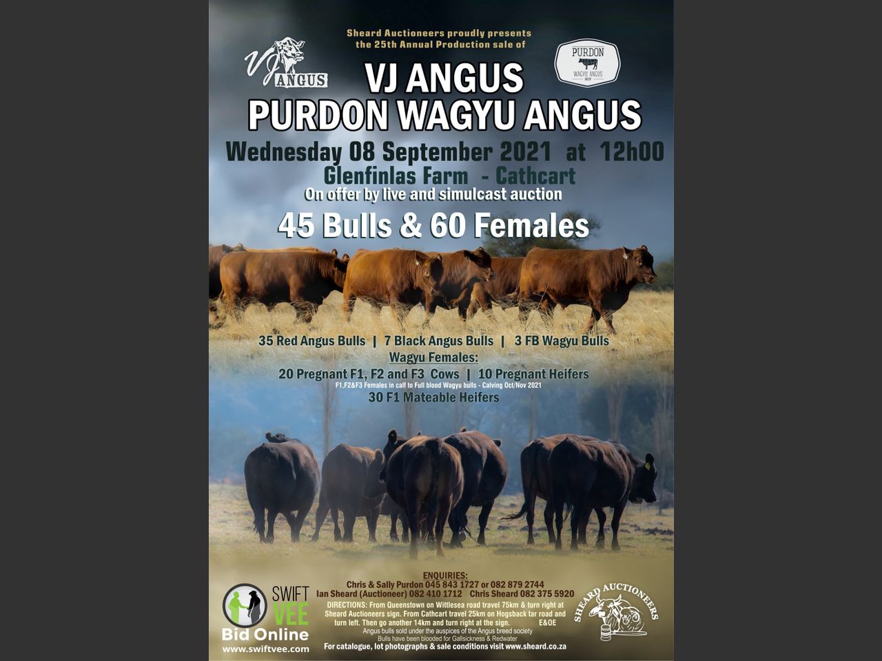 VJ ANGUS PURDON WAGYU ANGUS AUCTION | SwiftVEE | South Africa’s Leading ...