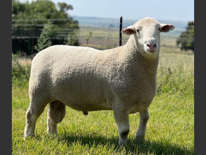 JB 24 0074 | J.A BARNARD