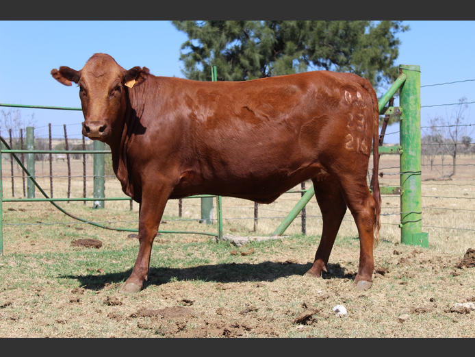 GA  230216 | GANNA AAR BOERDERY (EDMS) BPK