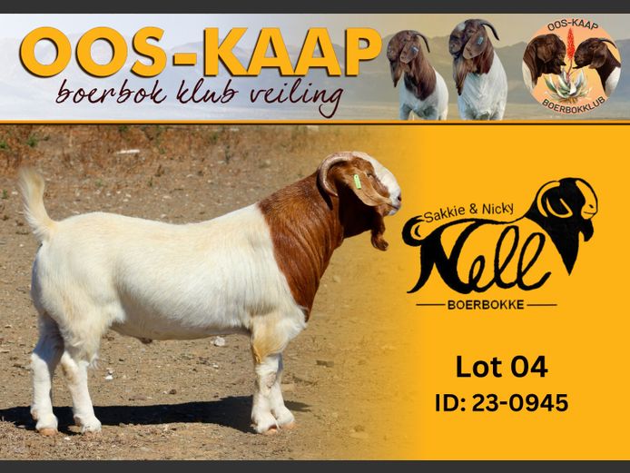 23-0945 | Sakkie en Nicky Nell Boerbokke