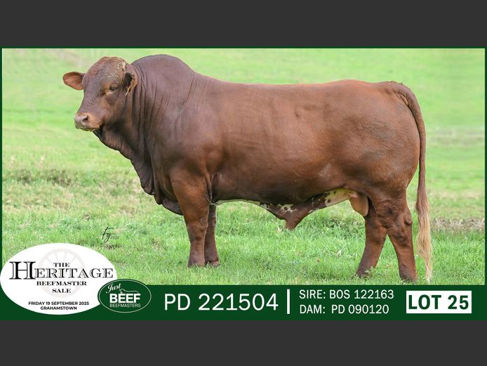 PD221504 | SUPER PRO DAIRY