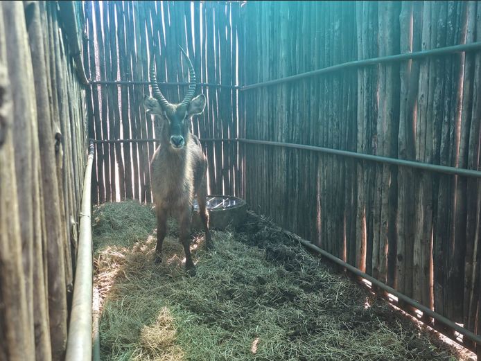 WATERBOK | HANLEY