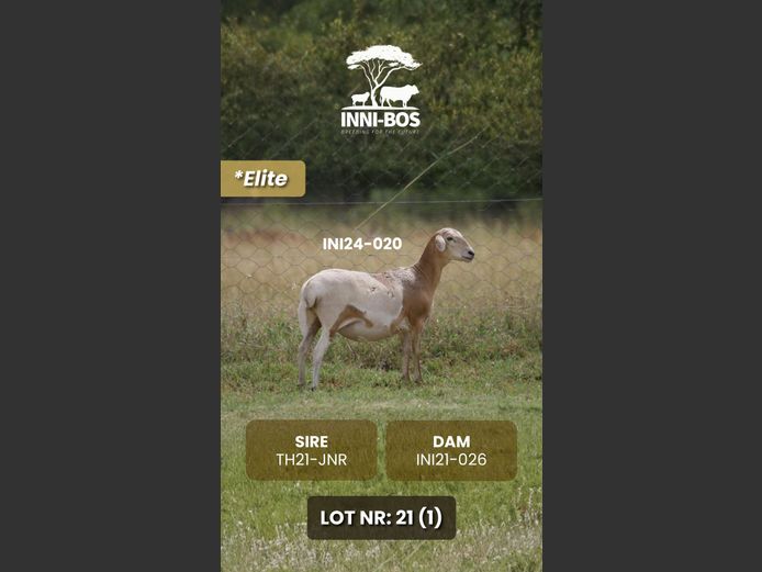 INI24-020 *Elite