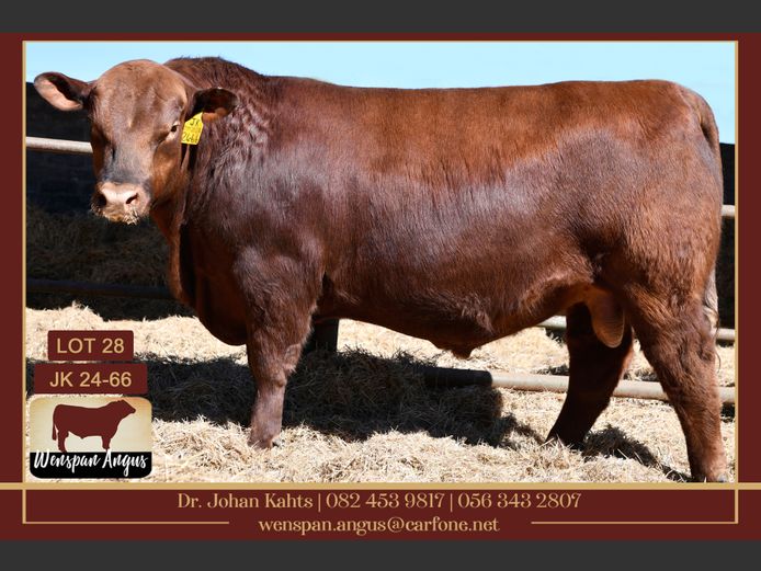 JK240066 | J. KAHTS