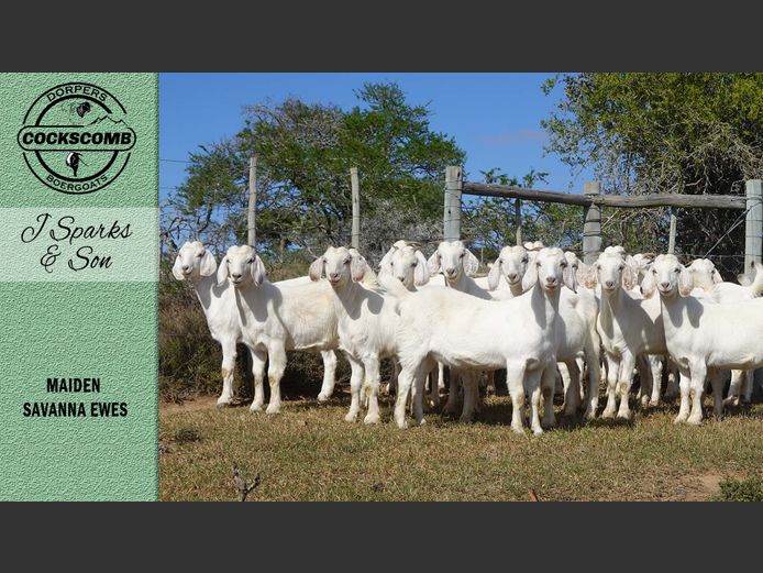 110 / 108 / 105 / 111  |  J Sparks & Son