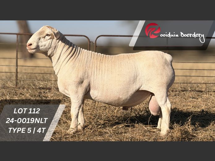 24-0019NLT | ROOIDUIN BOERDERY
