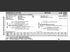 genetic_data