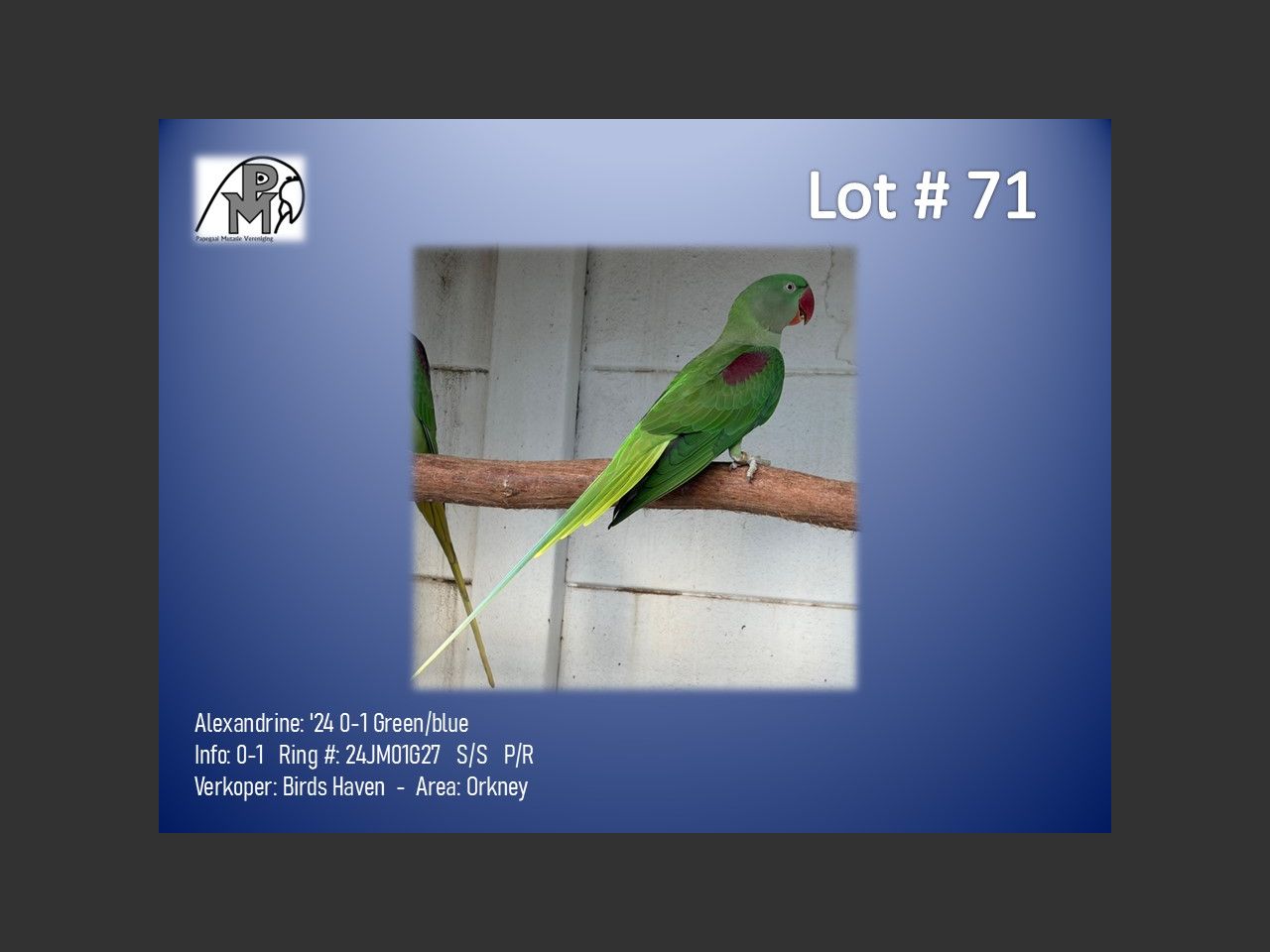 images
